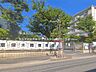 周辺：東保木間保育園 1290m