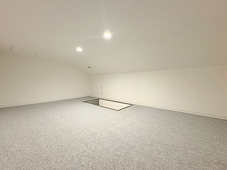小屋裏収納