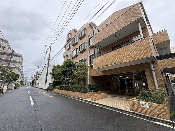 前道路含む現地現況。