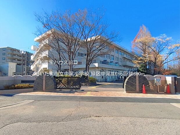 さいたま市立中尾小学校 800m