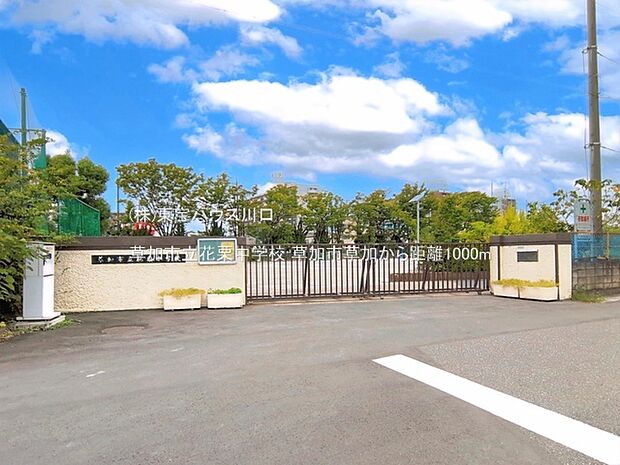 草加市立花栗中学校 1000m