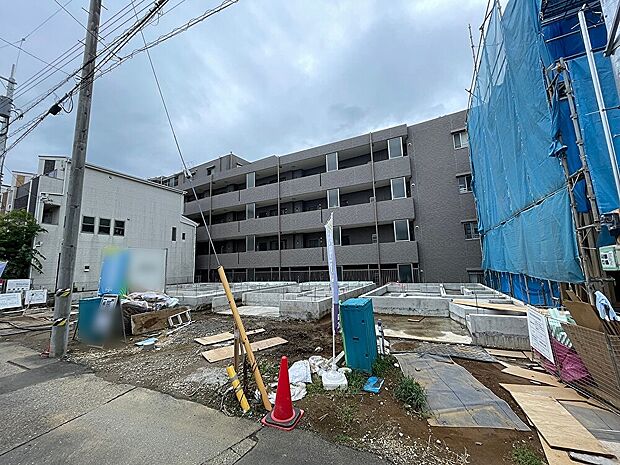 2026年9月下旬撮影