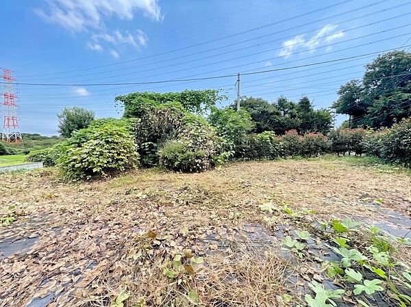 青く澄み渡る大空と豊かな緑に包まれた、広々とした建築条件なしの売地。お好みのハウスメーカーで、光と風を感じる自由な家づくりを叶えられます。都市の利便と自然の優しさが調和する、理想の住み処です。