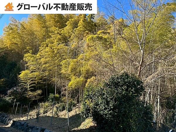 外観：326000269746