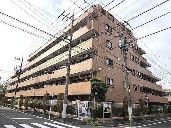 外観：313004691333