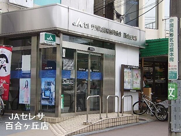 JAセレサ川崎百合丘支店まで1187m