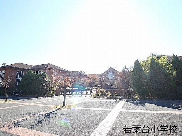 稲城市立若葉台小学校まで1463m