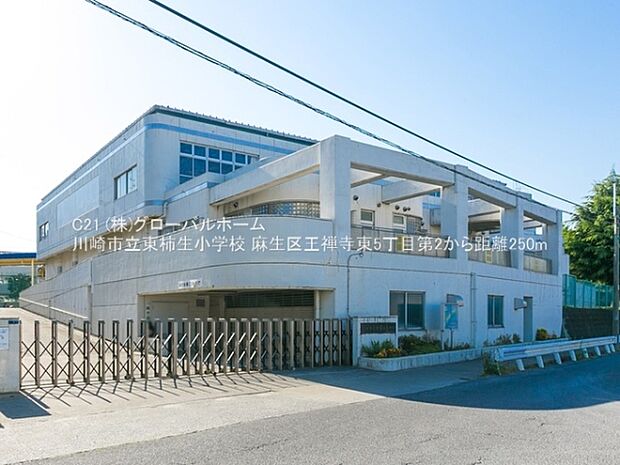 川崎市立東柿生小学校まで250m