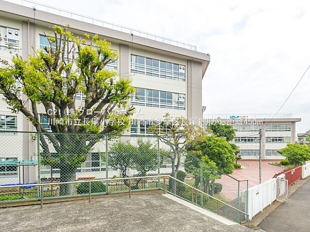 川崎市立長尾小学校まで450m