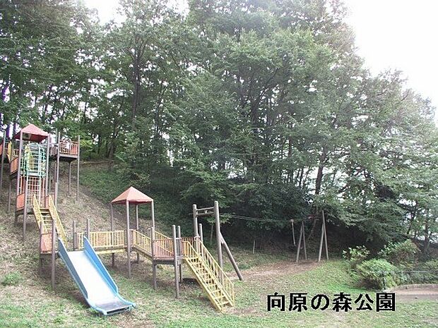 向原の森公園まで397m