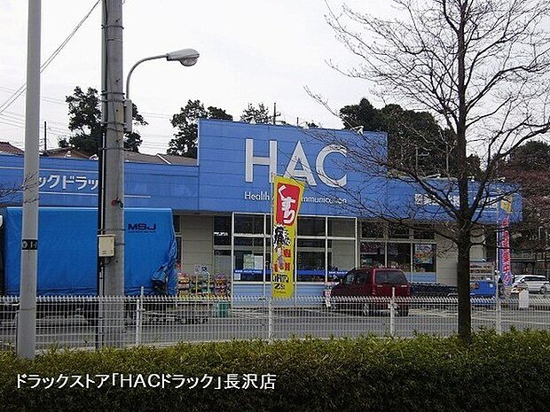 ハックドラッグ長沢店まで1342m