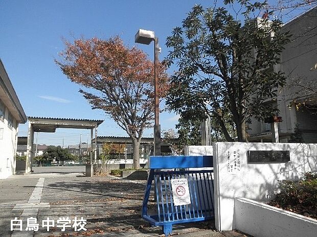 川崎市立白鳥中学校まで521m
