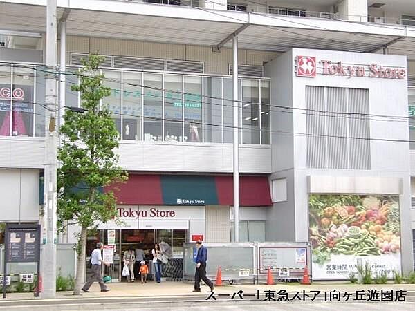 向ヶ丘遊園東急ストアまで1068m
