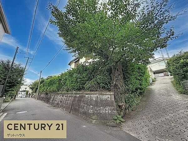 前面道路が広く車両の通行やすれ違いがしやすい環境です。道路沿いの緑が豊かで自然を感じられる立地です。周辺は静かで落ち着いた雰囲気が漂っています。舗装もしっかりしており安心してご利用いただけます。