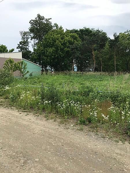 外観：301000096884