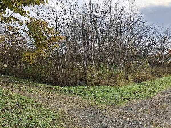 外観：301000096882