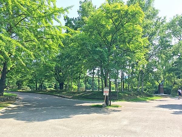 中島公園まで411m、中島公園