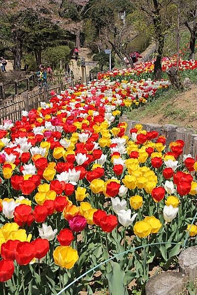 吾妻公園まで347m