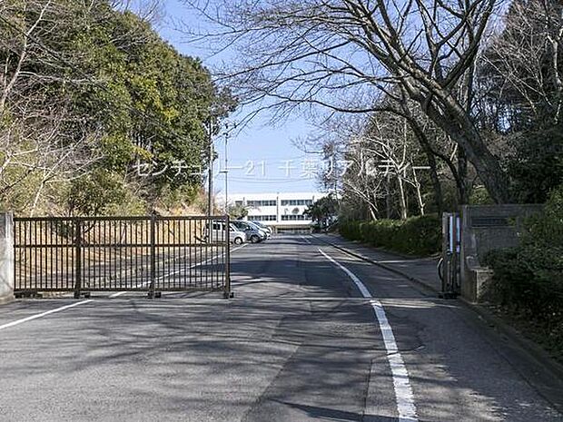 佐倉市立佐倉東小学校まで1120m