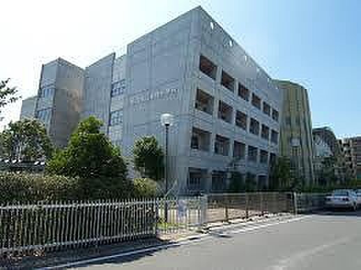 市川市立妙典小学校まで1235m