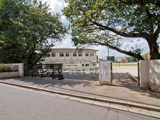 船橋市立船橋中学校まで1000m