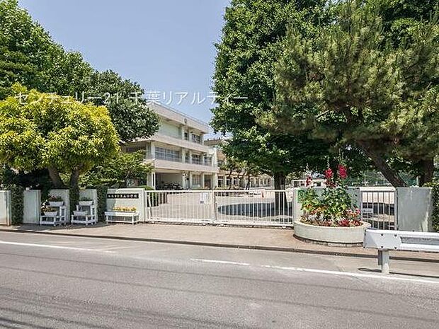 船橋市立三山小学校まで1100m