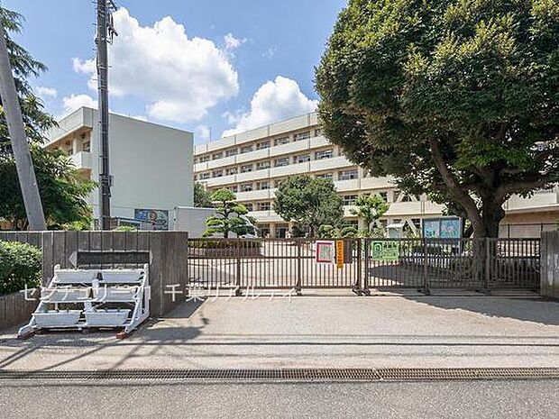 船橋市立坪井小学校まで400m