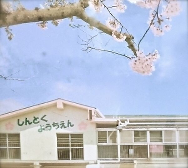 市川市立信篤幼稚園まで1536m