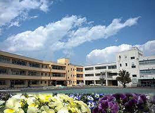 佐倉市立根郷小学校まで2048m