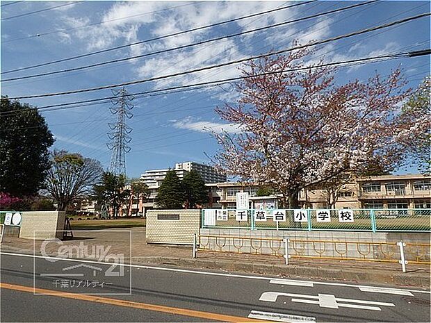 千葉市立千草台小学校まで1040m