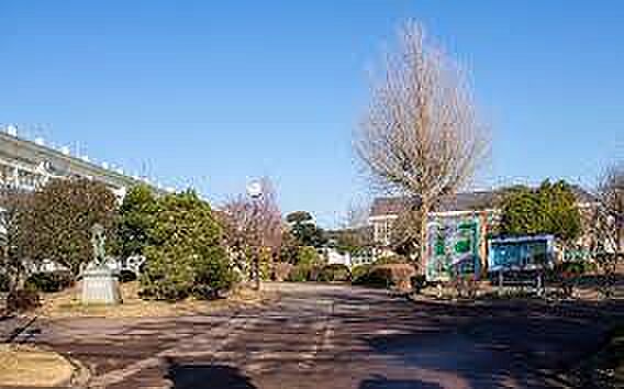 成田市立三里塚小学校まで1000m