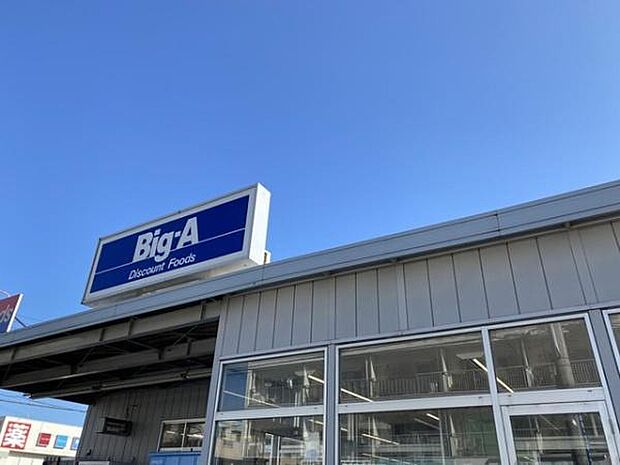 ビッグ・エー八千代八千代台西店まで1194m