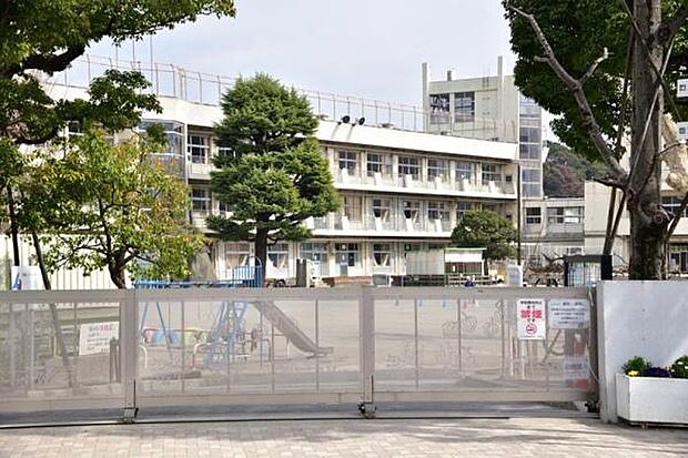 市川市立真間小学校まで637m