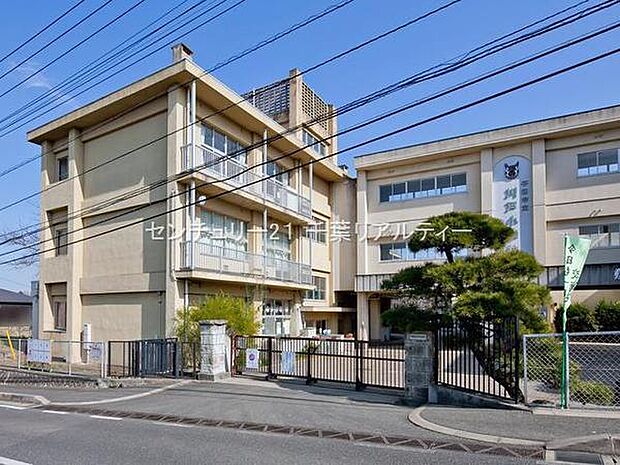 千葉市立川戸小学校まで750m