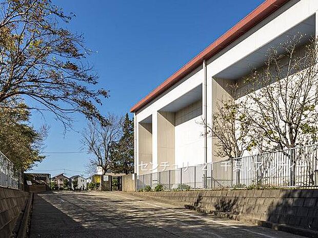 八千代市立大和田西小学校まで450m