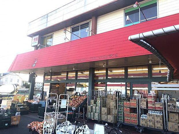 スーパーチェーンカワグチこてはし南店まで921m