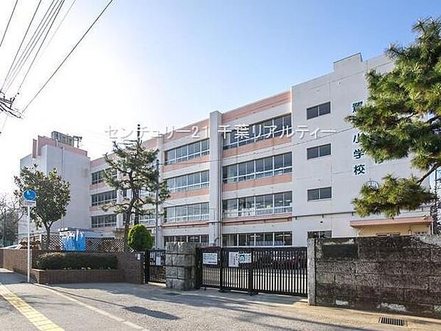 習志野市立鷺沼小学校まで1100m