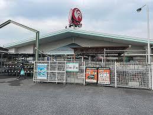 コメリハード＆グリーン市原古市場店まで882m