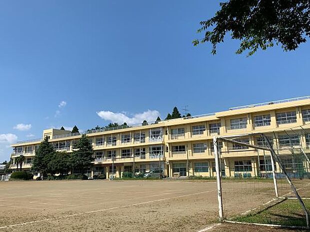 千葉市立白井中学校まで1500m