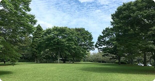 平和公園まで3343m