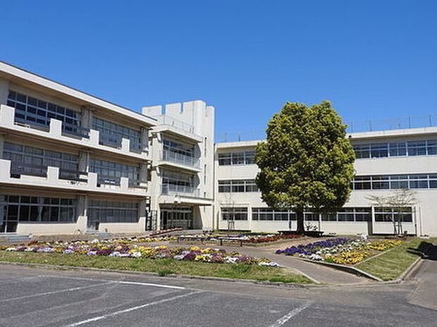 成田市立中台中学校まで374m