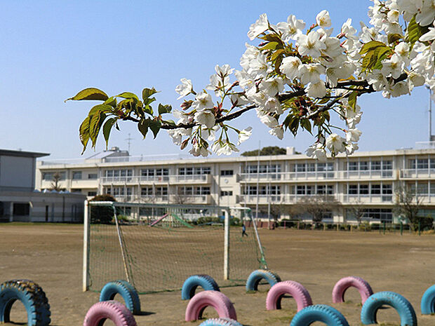 千葉市立生浜東小学校まで852m