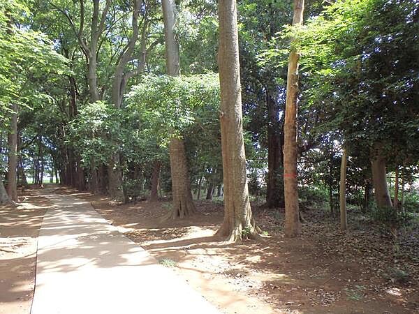 八千代台西市民の森まで1005m