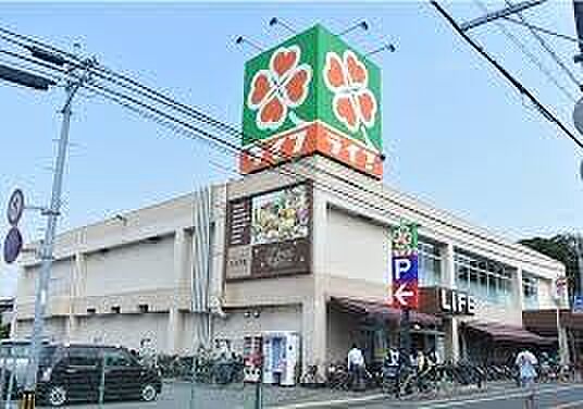 ライフ市川国分店まで517m