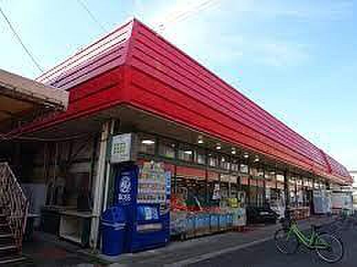 スーパーチェーンカワグチこてはし中央店まで1108m