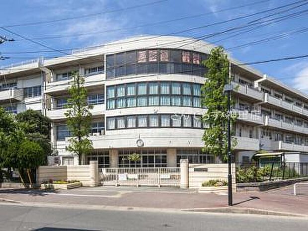 市川市立妙典中学校まで650m