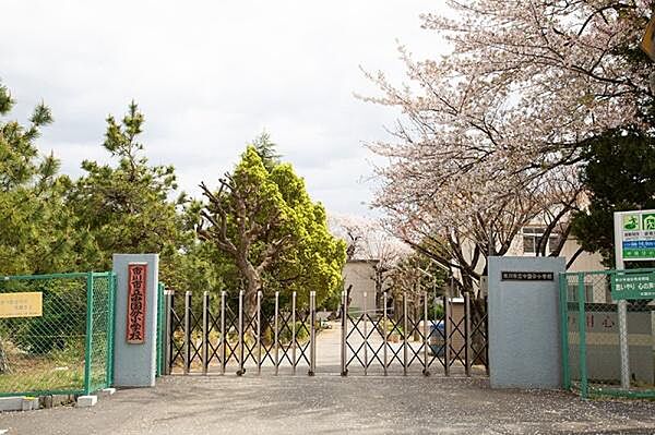 市川市立中国分小学校まで469m