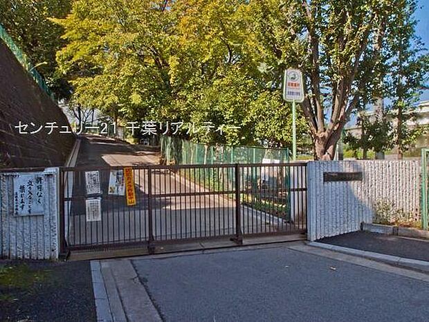 船橋市立高根東小学校まで800m