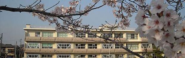 千葉市立稲毛小学校まで590m