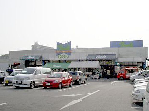 トウズ京成佐倉店まで1007m